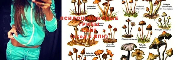 гашишное масло Аркадак